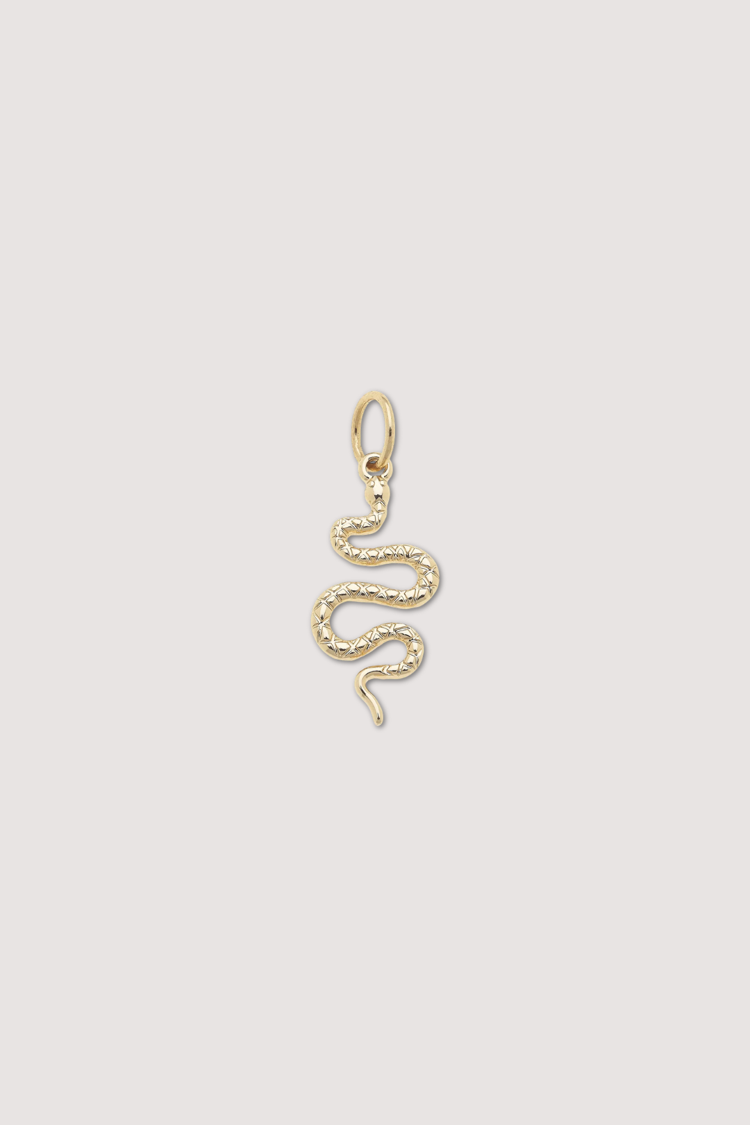 SNAKE CHARM